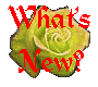 [What's New?]