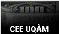  CEE UQ�M 