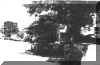 cd_est_PedroAlexandrino_db.jpg (50163 bytes)