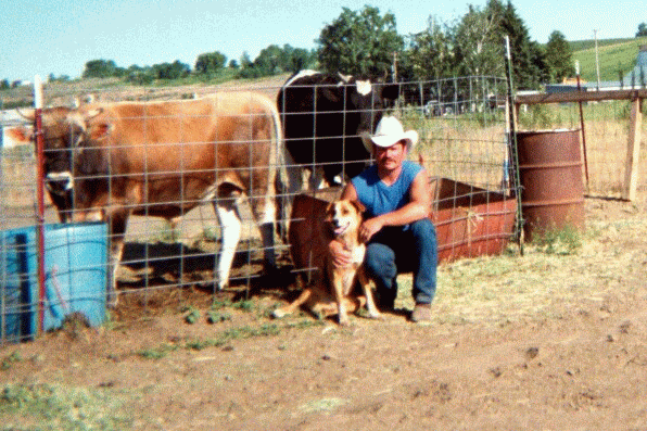 Copenhagen (the dog), Clay & the beef