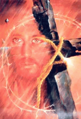 header image 2