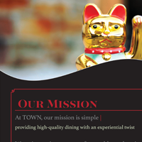 TOWN Brochure Page 1-3