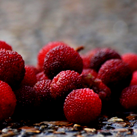Photo of Berries
