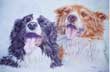 "Gilly's Collies"