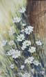 "Daisyland" watercolour