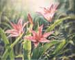"Karen's Lilies"