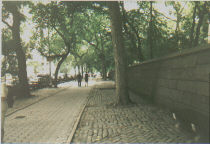 5th Avenue along Central Park
