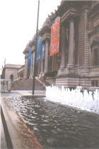 Metropolitan Museum of Art