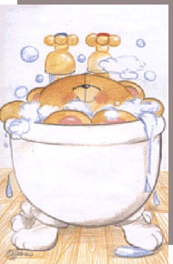 for_bath.jpg (16838 bytes)