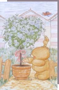 for_plant.jpg (10394 bytes)