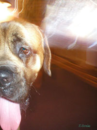 Nigel0303atn.jpg