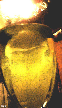 absinthe fresco