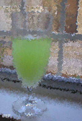absinthe louche