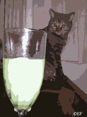 absinthe and pixie