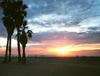 beach 1103