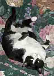 beau rolling around