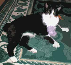 beau with his toys