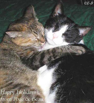 Peace on Earth