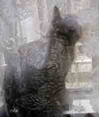 how much is that pixie in the window