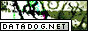 data-dog