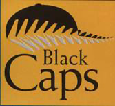 New Zealand Cricket Site