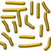 Cheese Melts
