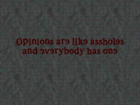 Opinions are like assholes and everybody has one