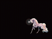 Unicorn