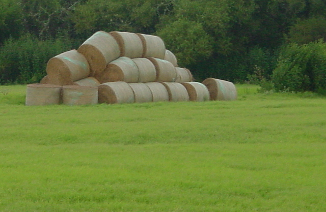 Here is the hay for sale.