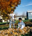 fall