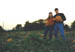 pickingpumpkins