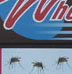 The winning bus poster!