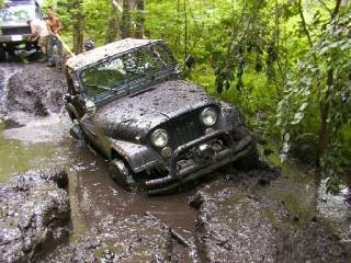 CJ7