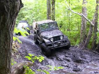 CJ7