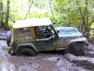 TJ