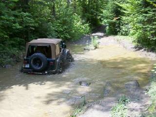 TJ's First Puddle