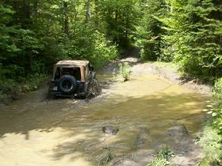 TJ's First Puddle