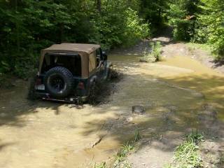 TJ's First Puddle