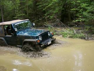 TJ's Second Puddle