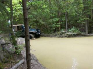 TJ's Second Puddle