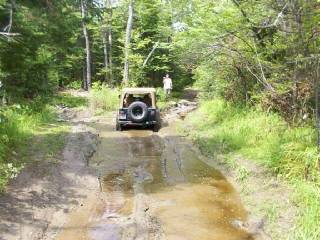 TJ's Fifth Puddle