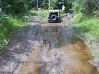 TJ's Fifth Puddle