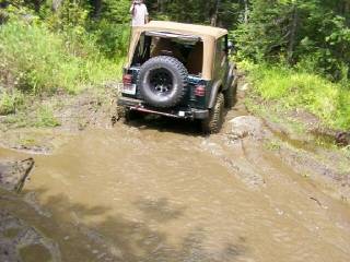 TJ's Fifth Puddle