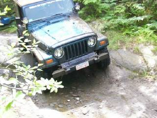 TJ's Fifth Puddle