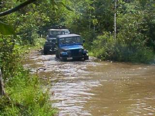 YJ
