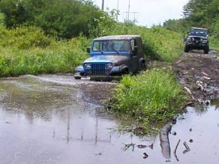 YJ