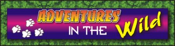 /user/GuiasMayAdventBanner.jpg