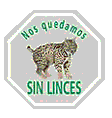 Campa&ntilde;a en defensa del lince ib&eacute;rico