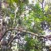 curso100.jpg (58277 bytes)