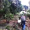 curso104.jpg (47911 bytes)